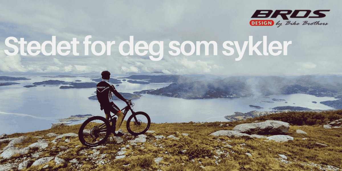 arnstein med en fulldempet elsykkel på toppen i Holteheia