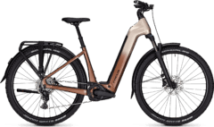 Focus Aventura 6.7